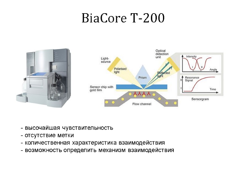 BiaCore T-200  высочайшая чувствительность  отсутствие метки  количественная характеристика взаимодействия  возможность
